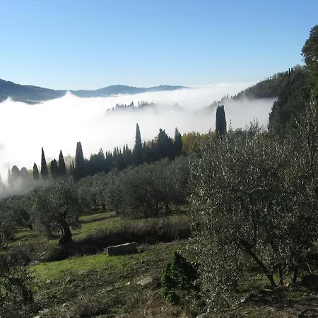 Di Campolungo