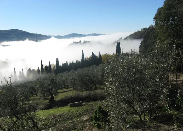 Di Campolungo