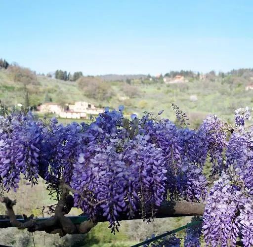Di Campolungo * Φιέζολε